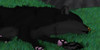 group avatar