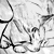 :iconoutcastvalkyrie: