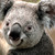 :iconoutrageouslycreative: