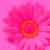 :iconouttawack: