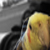 :iconoverkiller09: