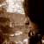 :iconoverthemoon0421: