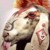 :iconowca999: