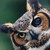 :iconowl-boy: