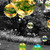 :iconowl-of-april: