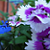 :iconowl-pellet: