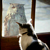 :iconowlbuddy: