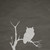 :iconowlcreator:
