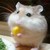 :iconowldestiny: