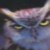 :iconowler007: