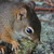 Owleyes44 :iconowleyes44: