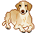 :iconowljitter: