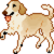 :iconowljitter: