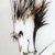 :iconowlofvalery: