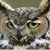 :iconowls-wisdom: