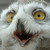 :iconowlsaywhatplz: