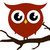 :iconowlsistersphoto: