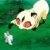 :iconowlstar333: