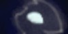 :iconowlsween: