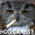 :iconowlwhocaresplz: