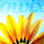 :iconowlx: