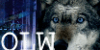 :iconown-link-wolves: