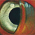 :iconownerofthevultureeye: