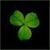 :iconowocowymak06: