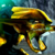 :iconoxas-mant: