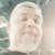 :iconoxbear: