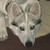 :iconoxfordstarwolf: