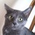 :iconoxide08: