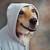 :iconoxter-pollex: