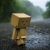:iconoxx12: