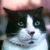 :iconoylesine: