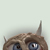 :iconozgurunlu: