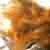 :iconozlemozdemir: