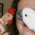 :iconozvisual: