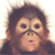 :iconozzdms: