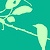 :iconP0CK3Y: