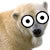 :iconp0lar-bear: