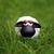 :iconp0uriitur3-x: