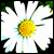 :iconp3ace: