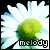 :iconp3rceptualm1schi3f: