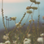 :iconp-a-r-l-e-y: