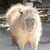 :iconp-chanxxx: