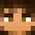 :iconp-h-e-l-s-u-m-a: