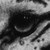 :iconp-m-rt: