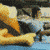 :iconp-o-s-e-4: