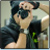 :iconpaaulvandaniel: